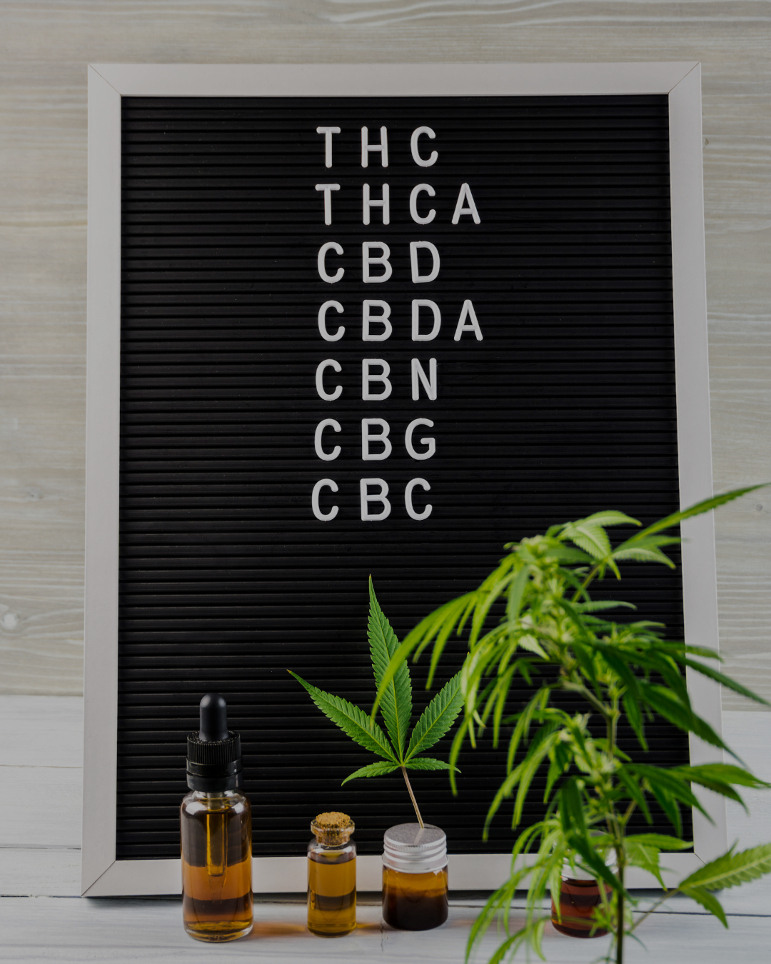 CBN vs. THC vs. CBD