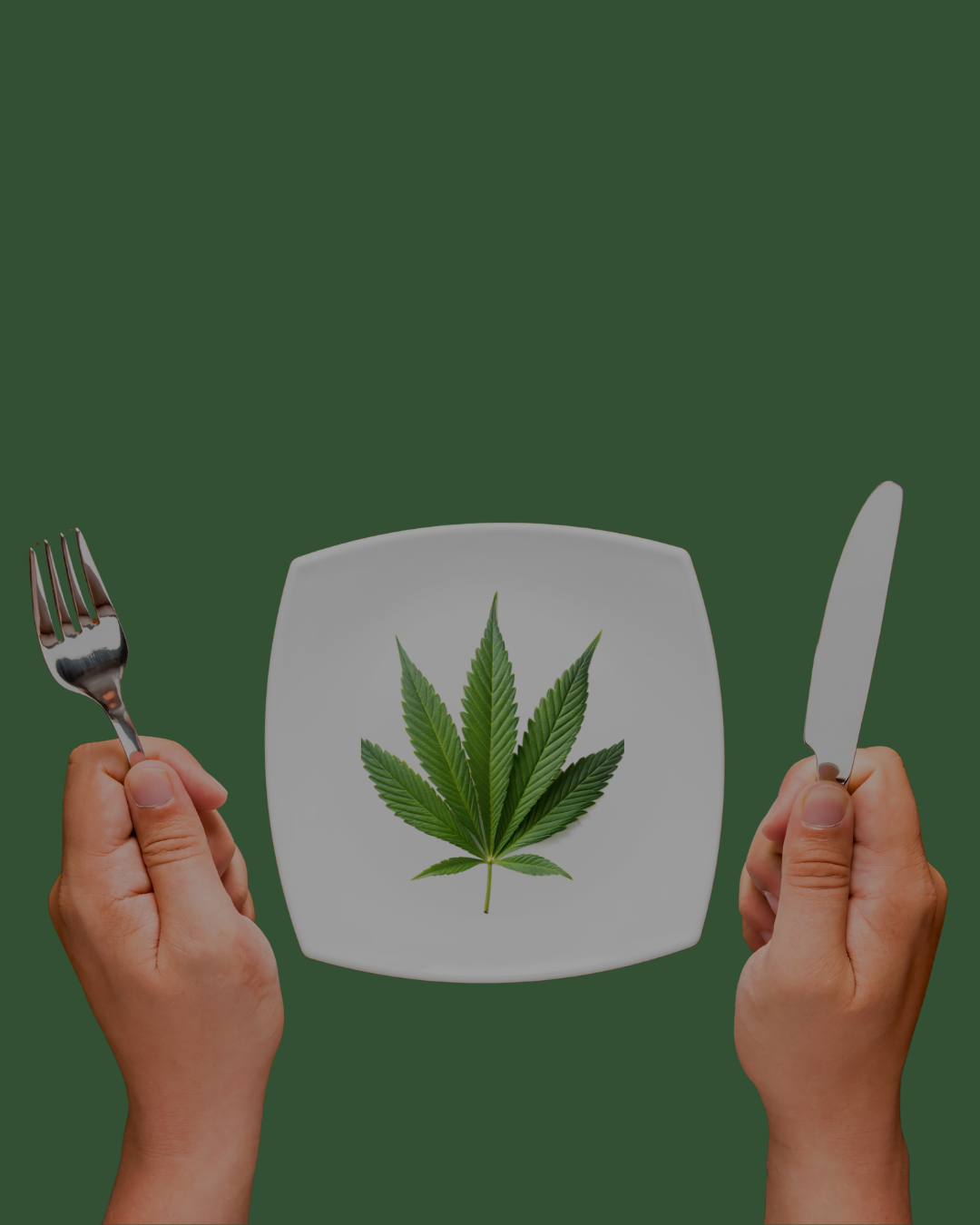 cannabis and appetite